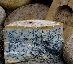 Queijos Gorgonzola
